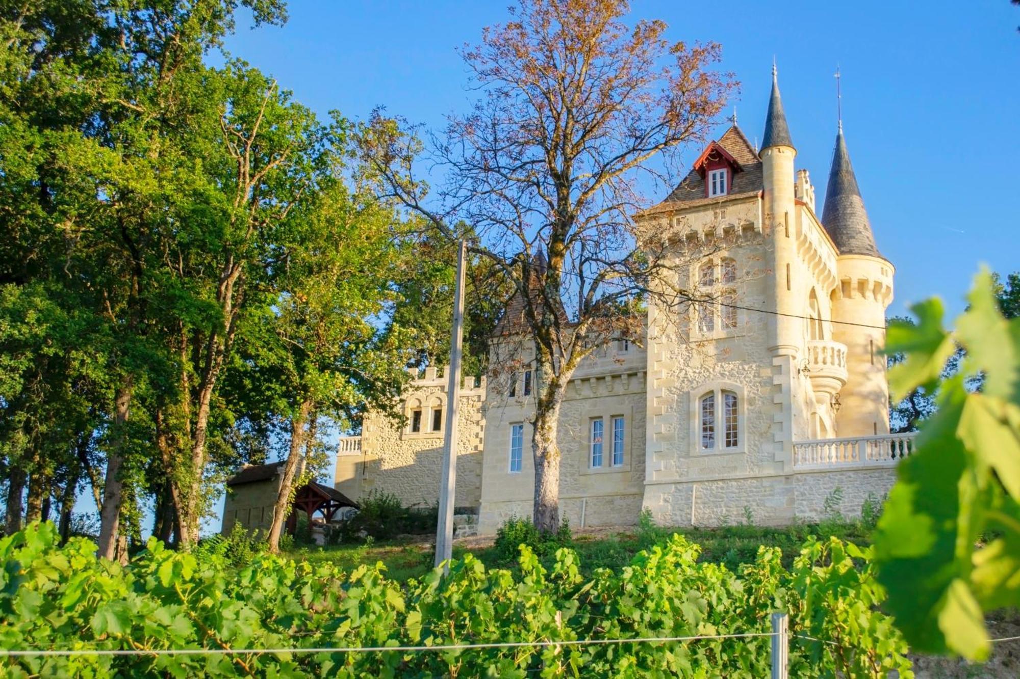 La Reserve Du Chateau De Roques 皮斯甘 外观 照片