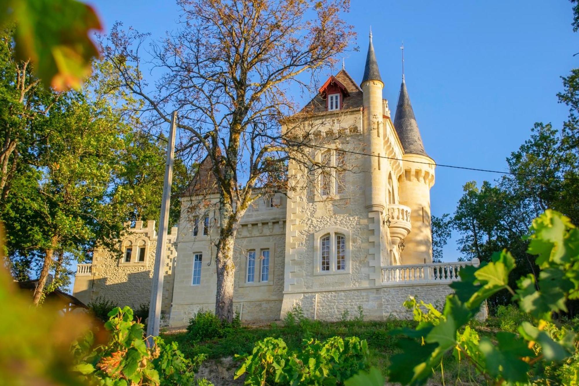 La Reserve Du Chateau De Roques 皮斯甘 外观 照片