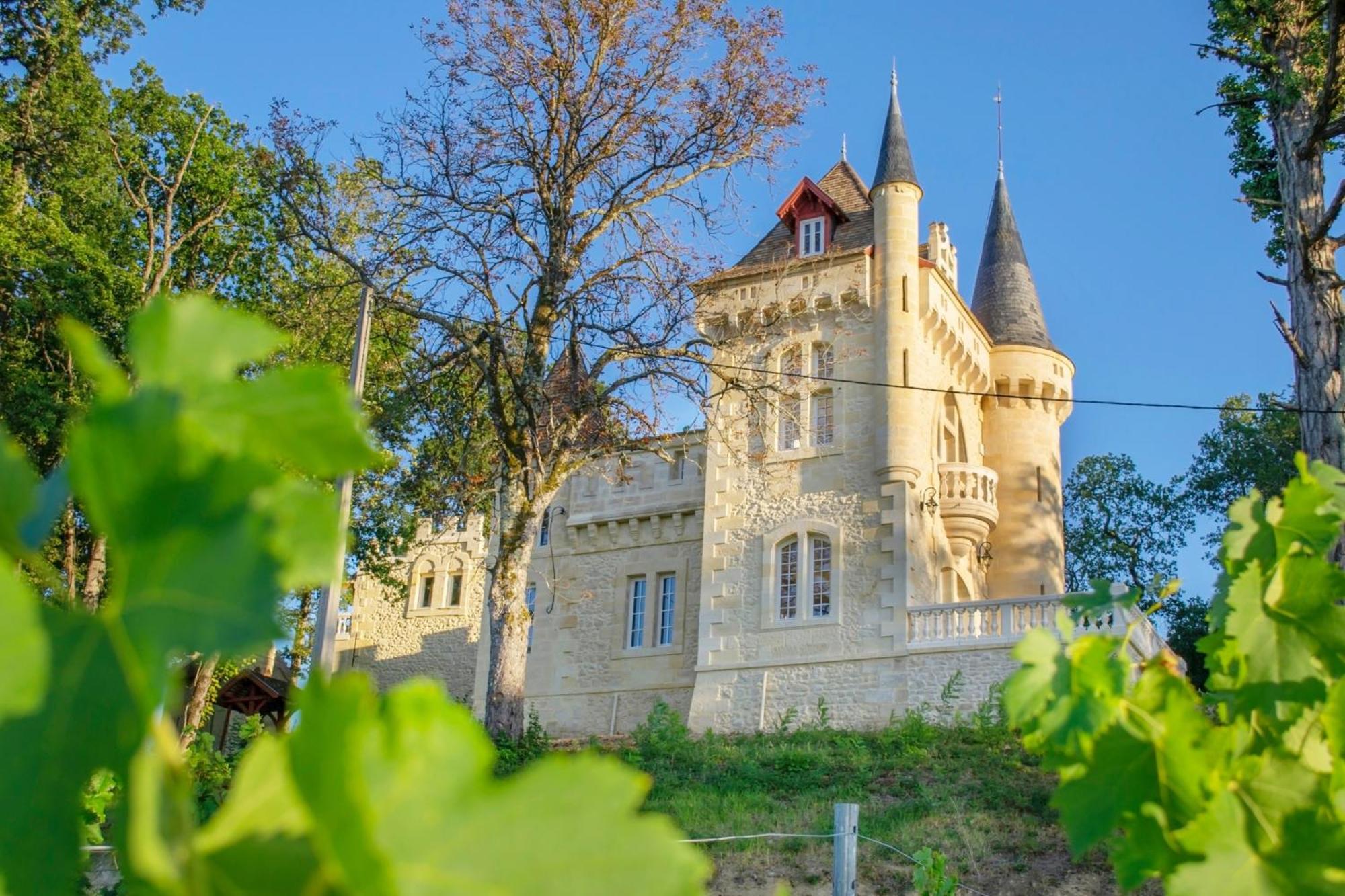 La Reserve Du Chateau De Roques 皮斯甘 外观 照片